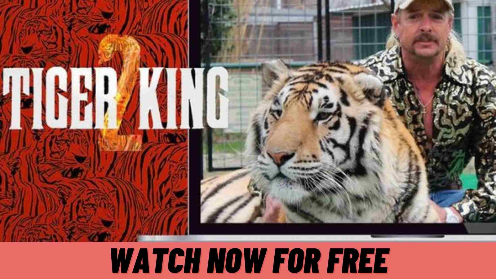 watch tiger king 2 for free
