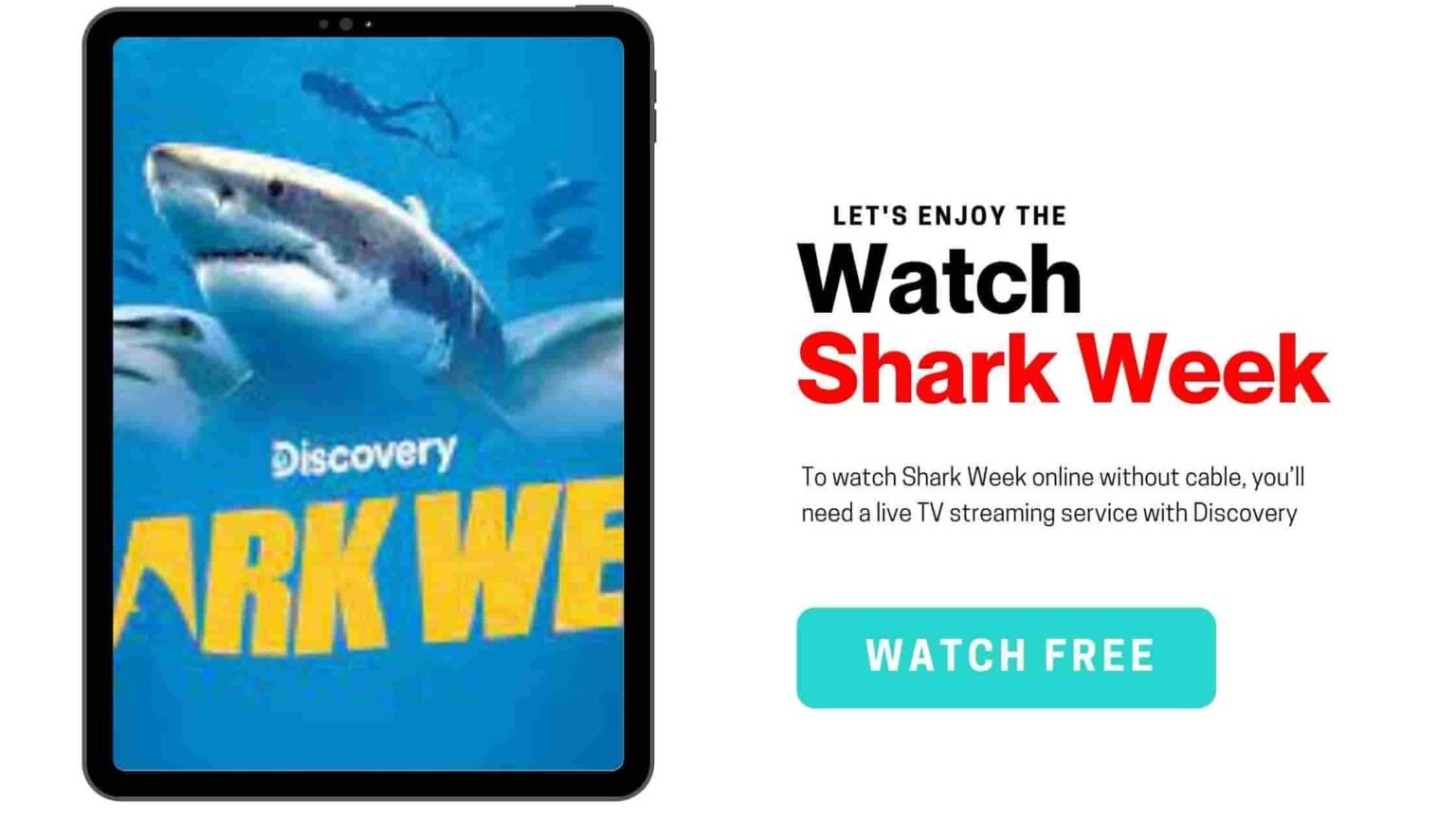 5 Simplest Ways To Watch Shark Week 2022 » GigaBunch