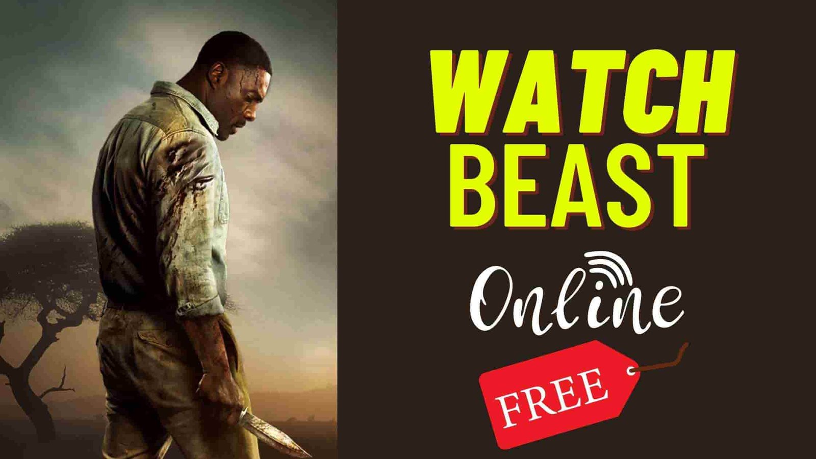 beast movie watch online